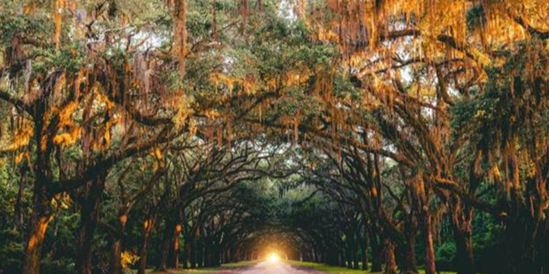 Blog 2 Why October Is the Best Time to Visit Hilton Head in an RV