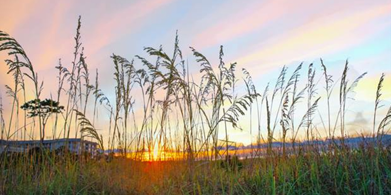 Blog 6 Why October Is the Best Time to Visit Hilton Head in an RV