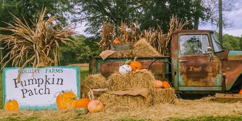 Blog 7 Why October Is the Best Time to Visit Hilton Head in an RV