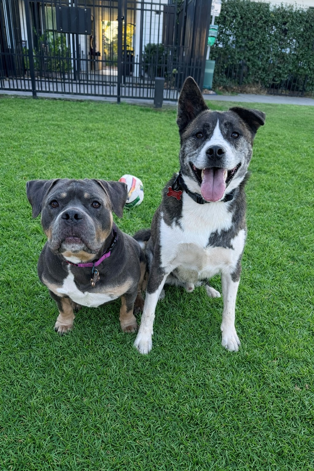 b-m-de1801de06519dcbdb4ee37bf1bd3359